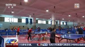 舒适与美观并存:如何选择适合室外休闲的折叠椅?